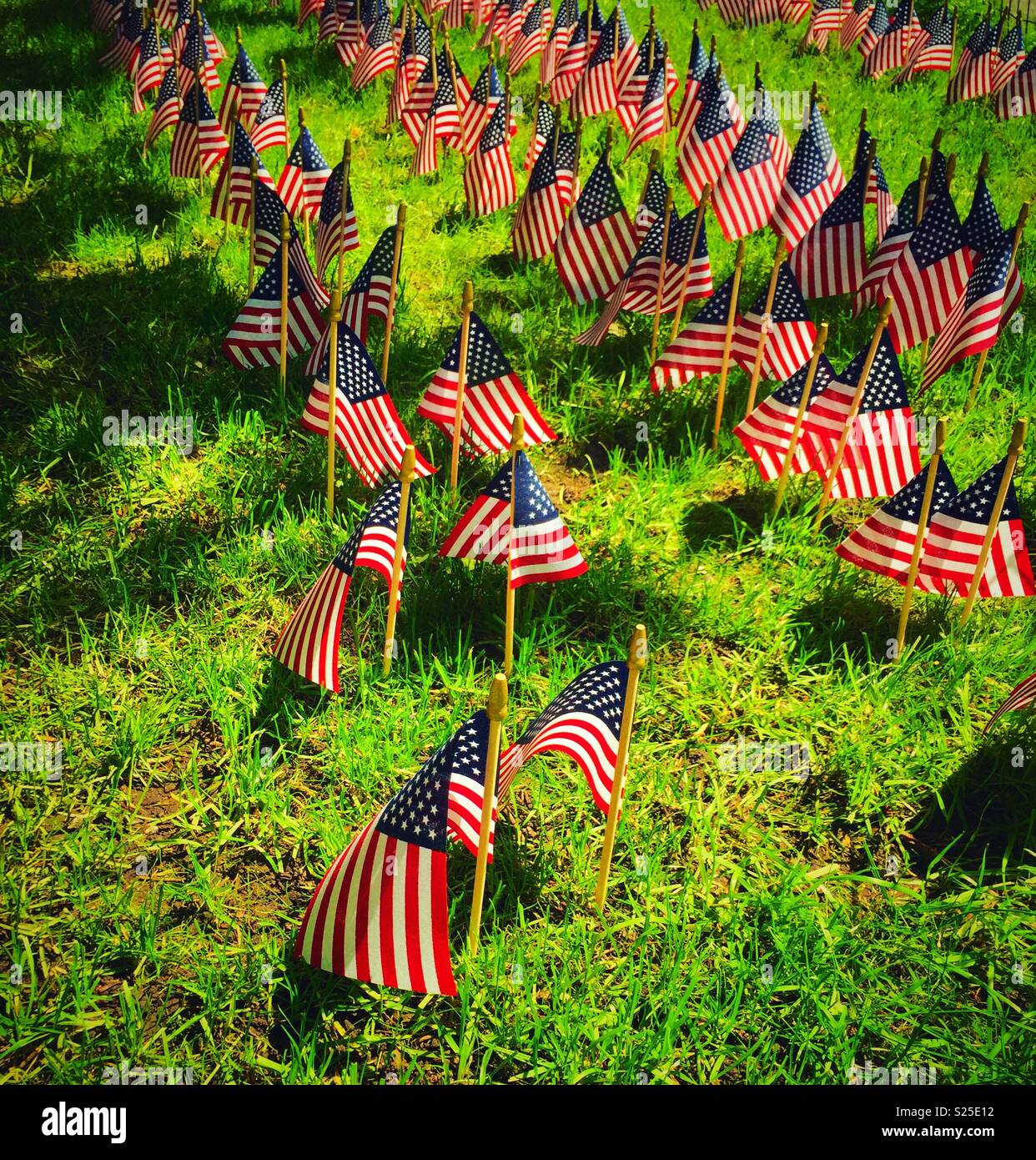 Eine Anzeige der Miniatur amerikanische Flaggen militärischen Ehren, die ihr Leben verloren haben, Madison Square Park, NYC, USA Memorial Day Stockfoto