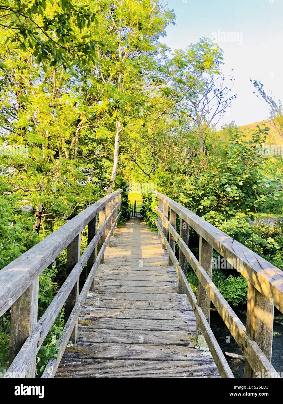 Holzbrücke Stockfoto