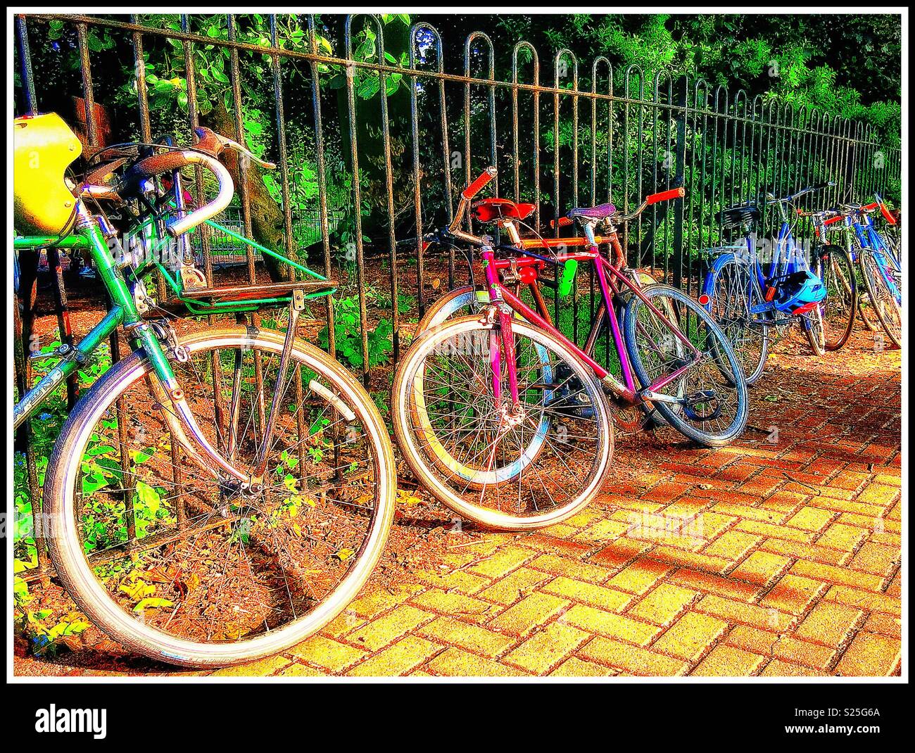 Fahrräder in Peckham RyePark. - Smartphone-aufgenommenes Stockfoto