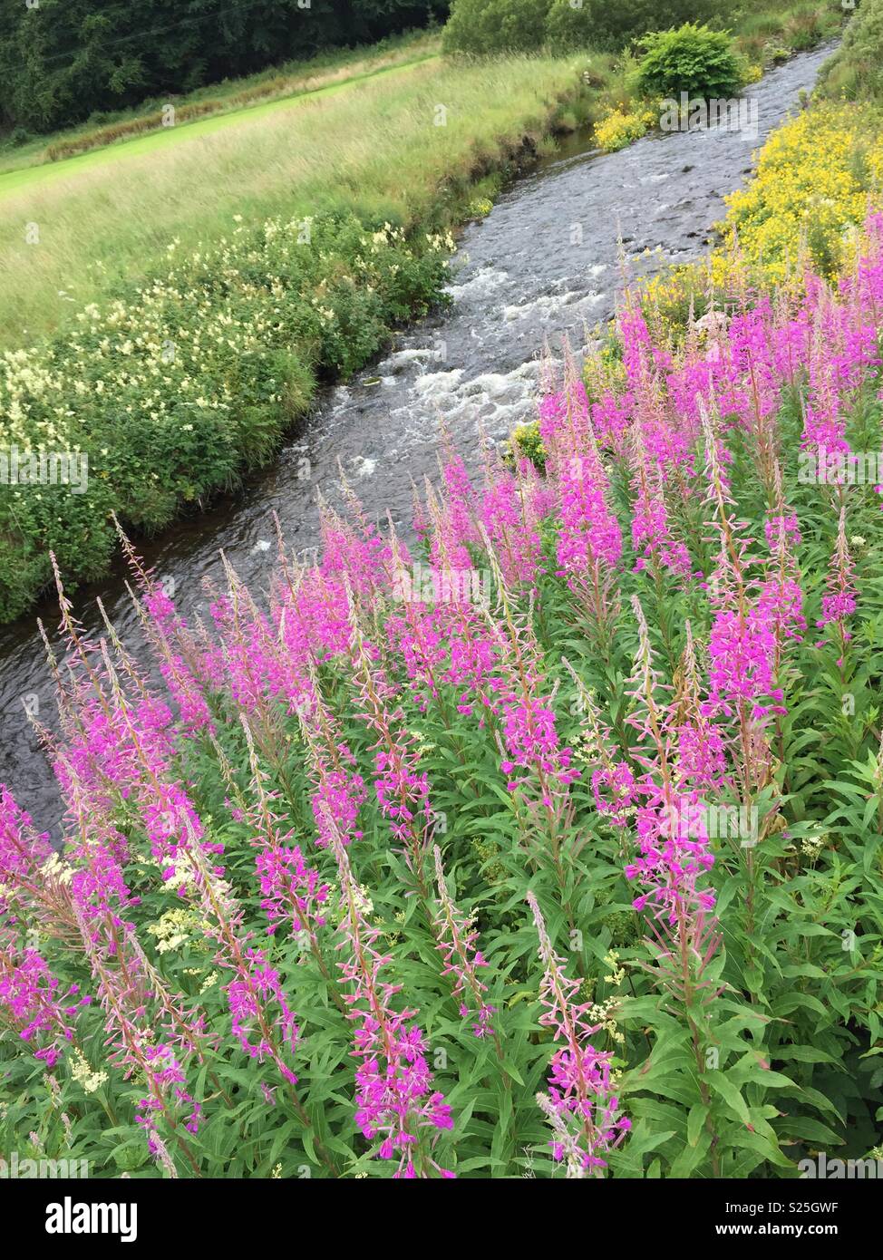 Schottische Riverside - Smartphone-aufgenommenes Stockfoto