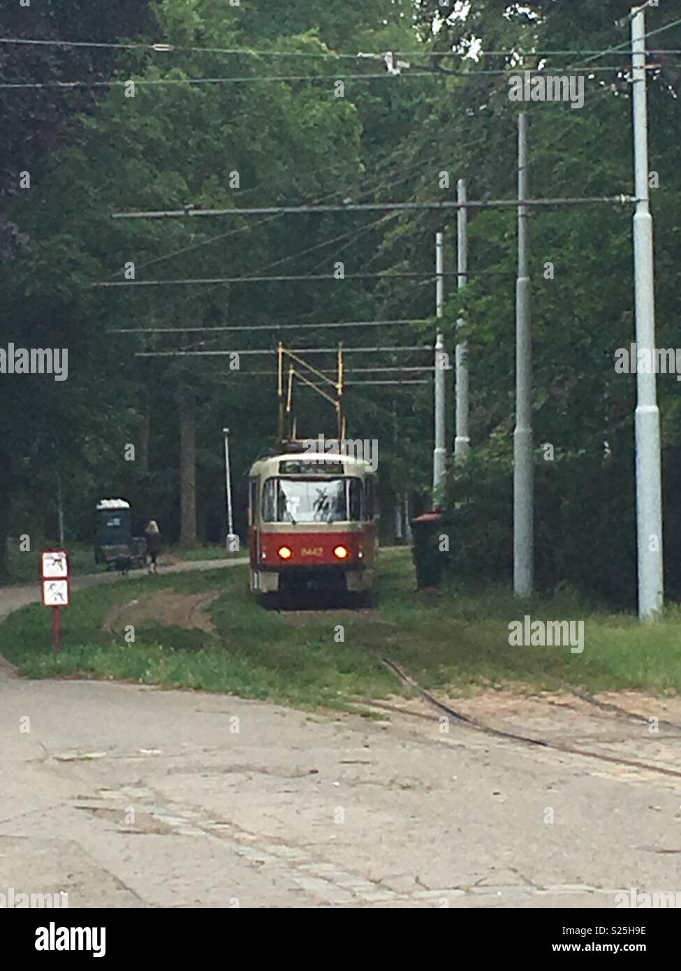 Straßenbahn auf bewachsenem Straßenbahn-Linien Stockfoto