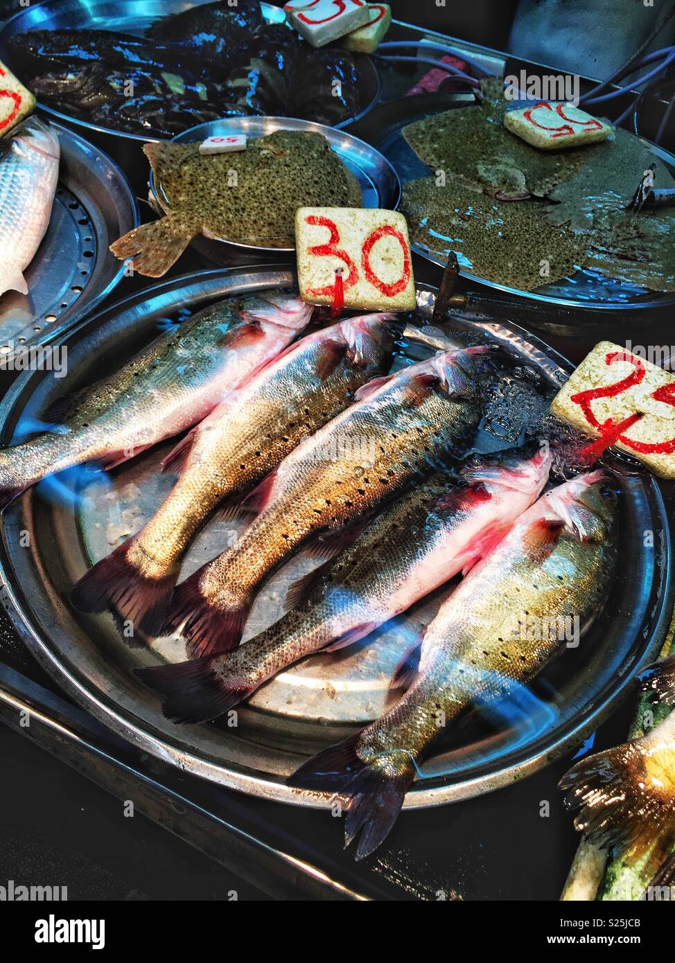 Lebende Fische zum Verkauf in einem "Wet Market", Yuen Long, New Territories, Hong Kong Stockfoto