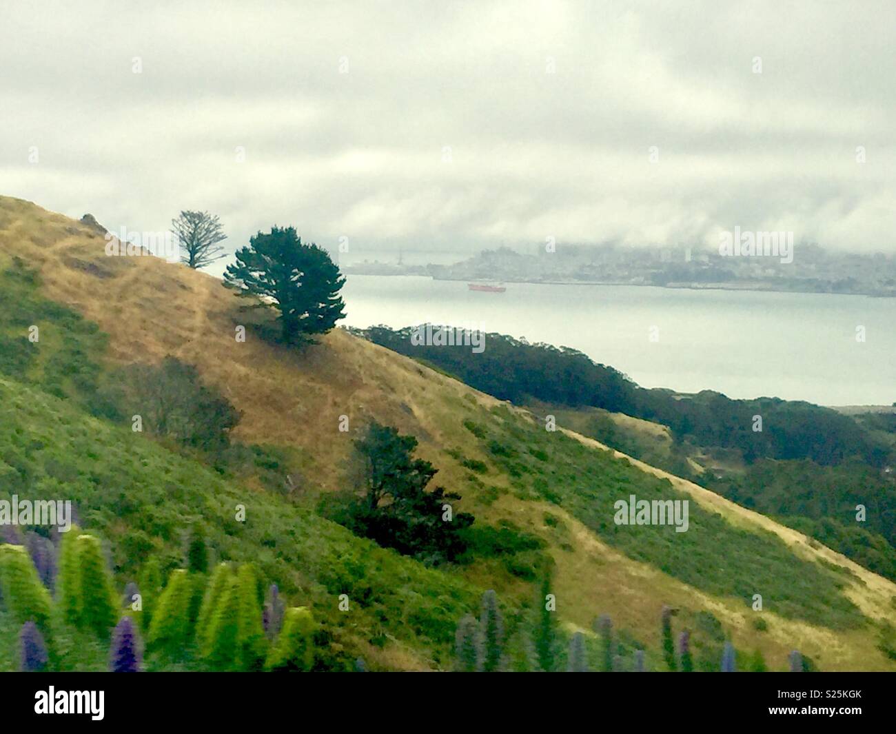 San Francisco Skyline im Nebel von den Hügeln von Marin County. Stockfoto
