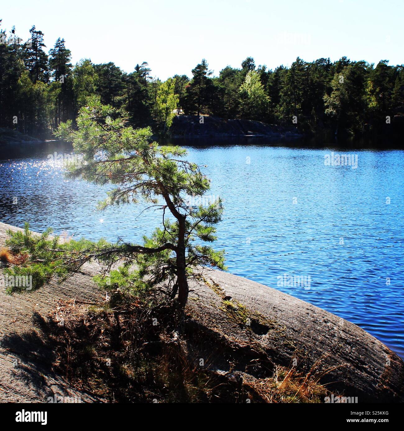 Blaue Wasser des See in Schweden Stockfoto