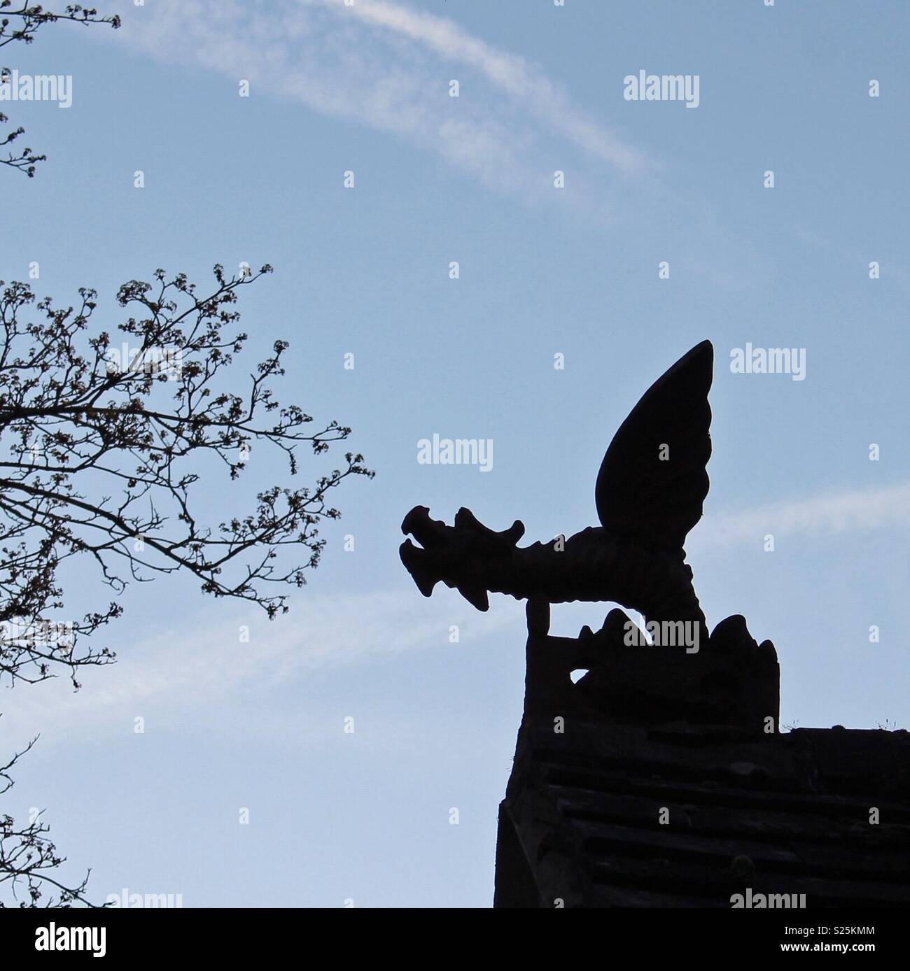 Silhouette eines Drachen finial Stockfoto