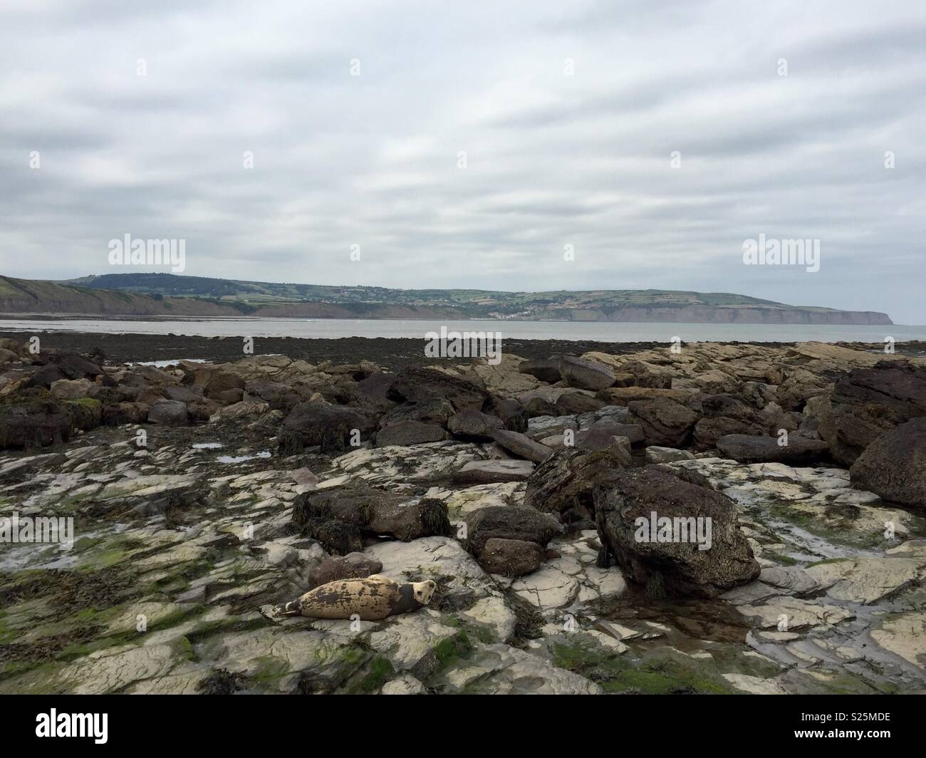 Felsiger Strand - Smartphone-aufgenommenes Stockfoto