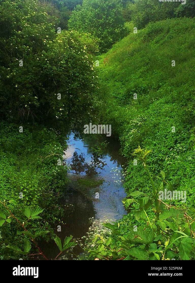 Schönen Bach durch die Stadt Moers Park, Whiston, Knowsley, Vereinigtes Königreich reisen. - Smartphone-aufgenommenes Stockfoto