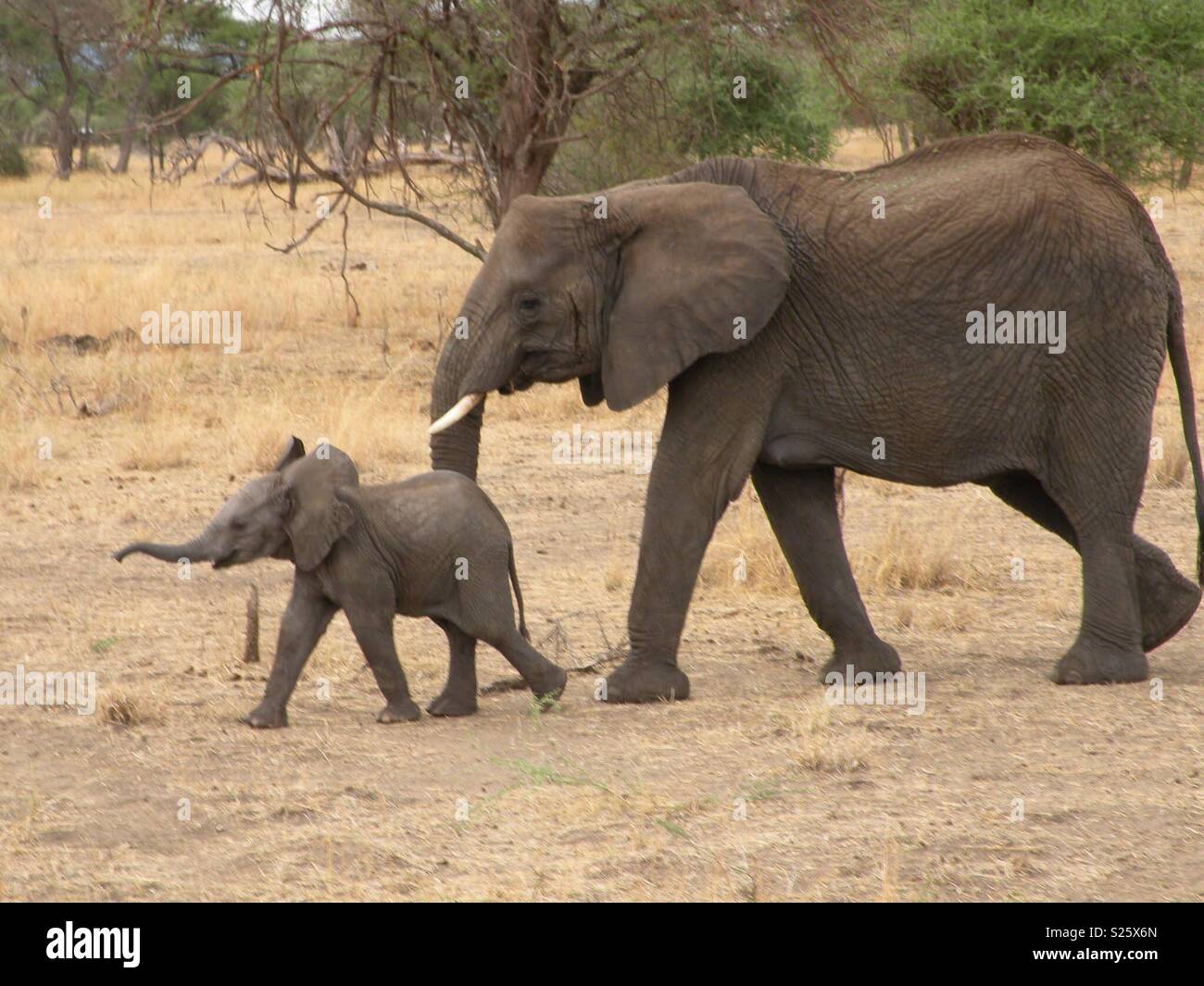 Mutter und baby - Smartphone-aufgenommenes Stockfoto