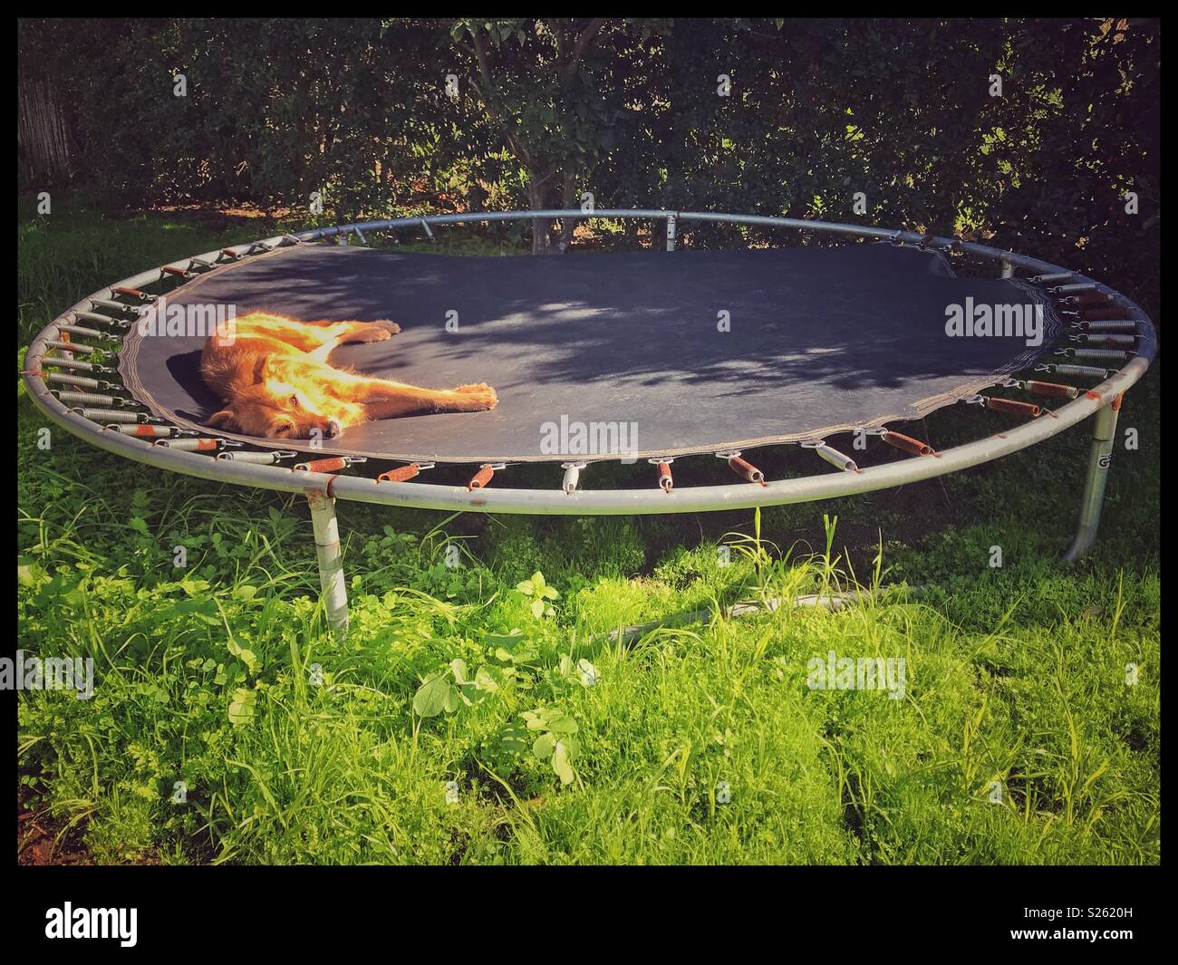 Graben schlafen auf einem Trampolin Stockfotografie - Alamy