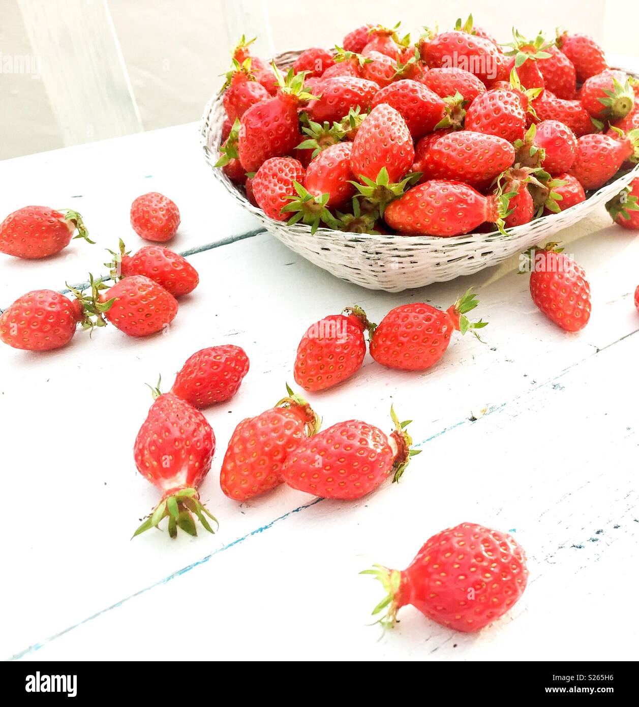 Erdbeeren auf einem weißen Tisch und Schüssel Stockfoto