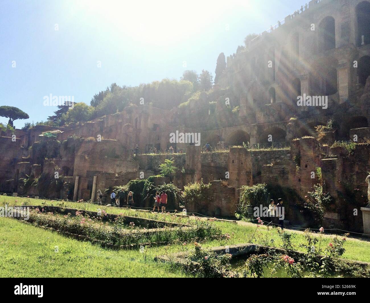 Forum Romanum - Smartphone-aufgenommenes Stockfoto