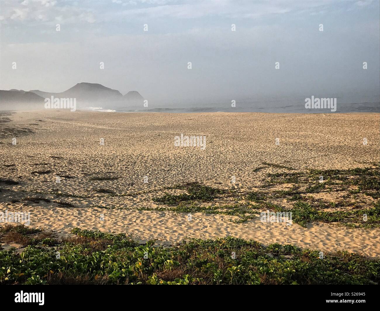 Der Strand am Pazifik Küste in Todos Santos, Baja California, Mexiko - Smartphone-aufgenommenes Stockfoto