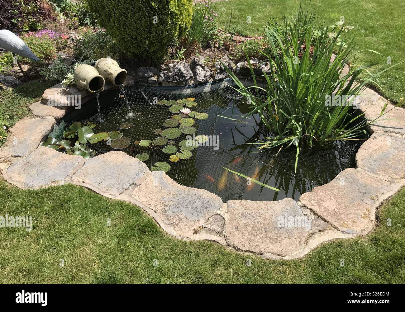 Fische, die in einem Garten Teich mit Springbrunnen Stockfotografie Alamy