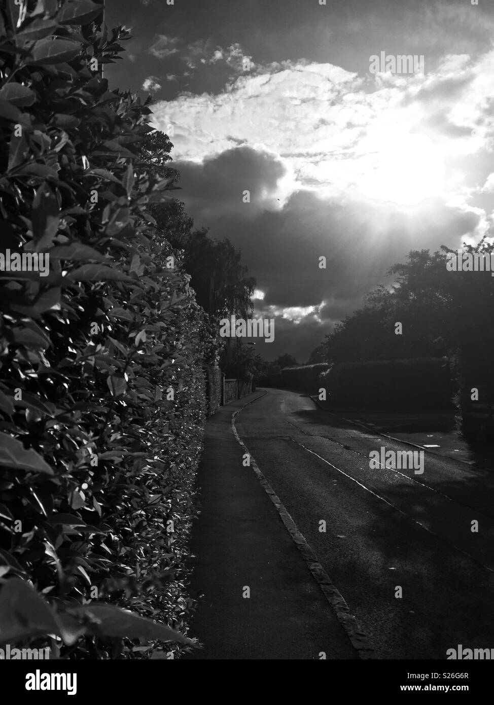 Ruhigen Straße mit Sonnenschein und Laub. Stockfoto