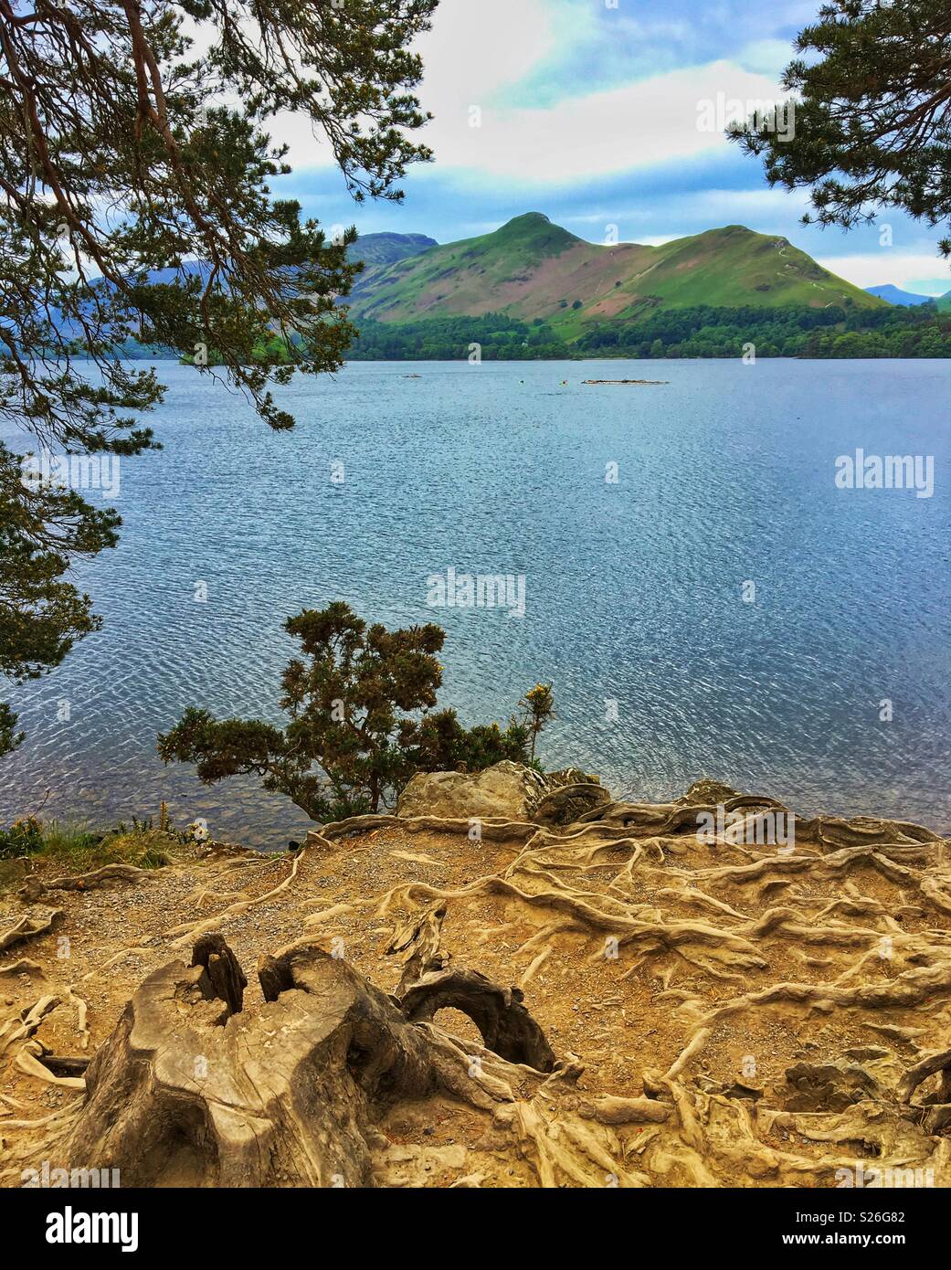 Blick über Derwentwater in Richtung Catbells Cumbria England Großbritannien Großbritannien Großbritannien Großbritannien Großbritannien Großbritannien Großbritannien Großbritannien Großbritannien Großbritannien Großbritannien Großbritannien - Smartphone-aufgenommenes Stockfoto