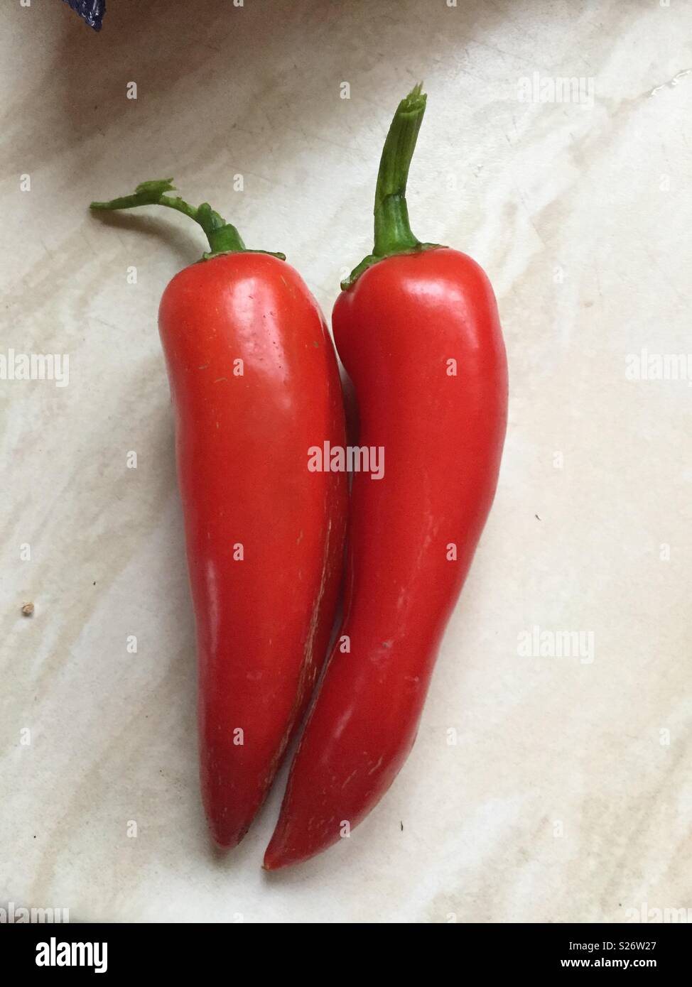 Homegrown rote Chilis Stockfoto