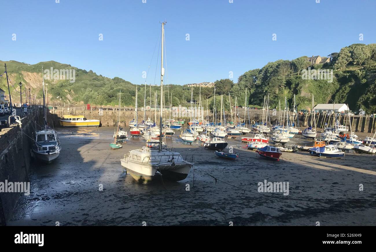 Ilfracombe Hafen - Smartphone-aufgenommenes Stockfoto