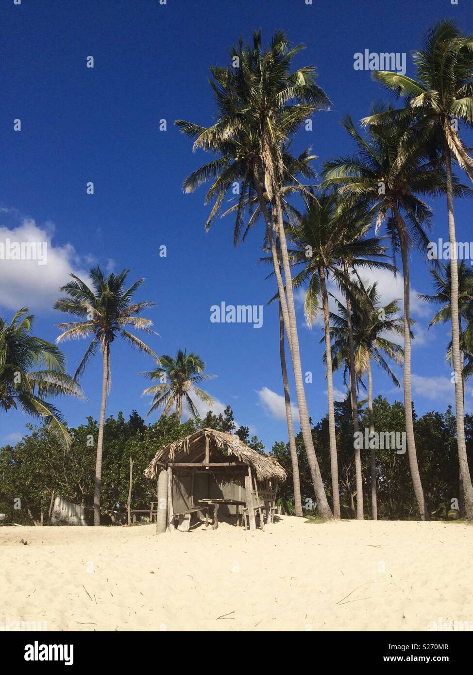 Palm Tree Beach Hut Sandstrand blauer Himmel und leichter Bewölkung am tropischen Strand Stockfoto