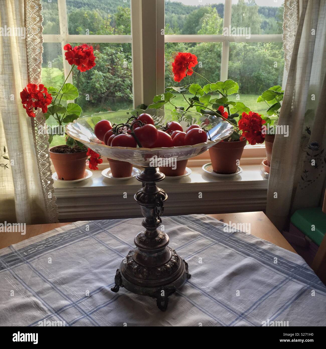 Frisch geerntete Tomaten in einem roten Schüssel auf einen hölzernen Tisch mit Tischdecke. Hallenbad vor einem Fenster. - Smartphone-aufgenommenes Stockfoto