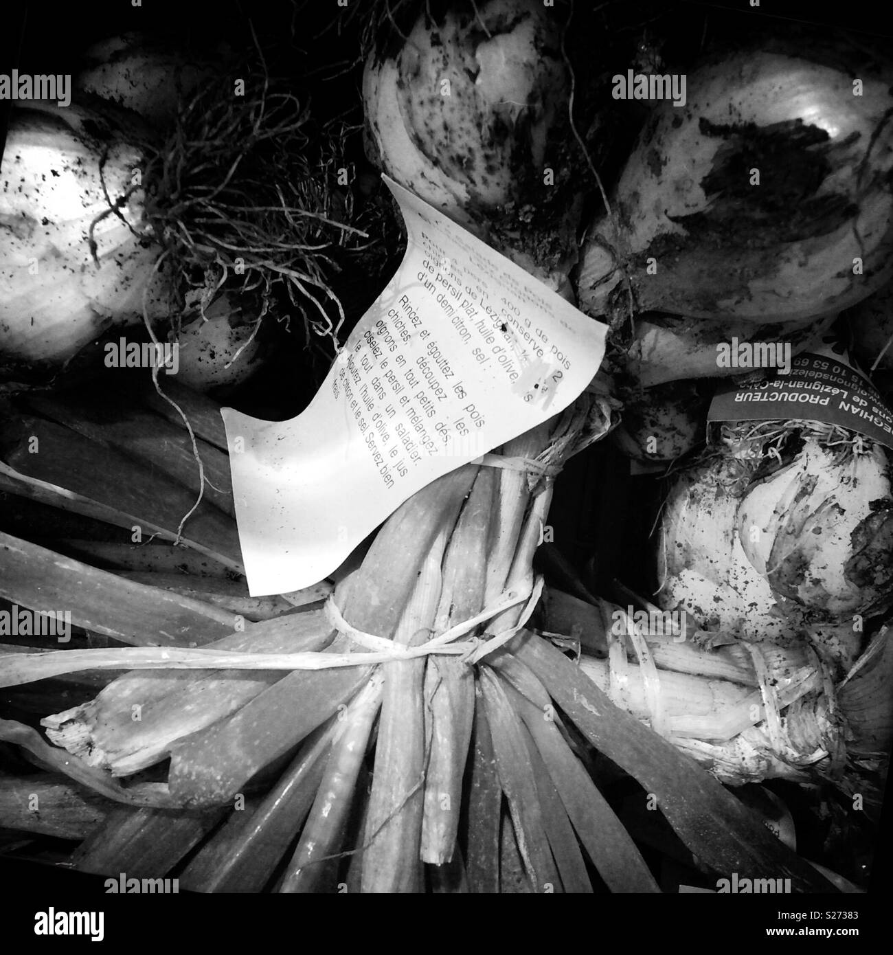 Zwiebeln zum Verkauf - Smartphone-aufgenommenes Stockfoto