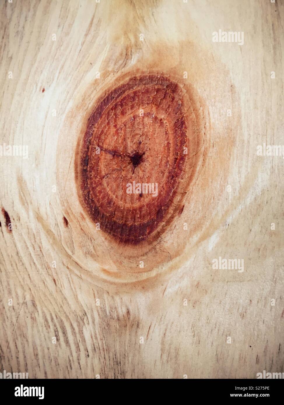 Holz- knothole Nahaufnahme - Smartphone-aufgenommenes Stockfoto