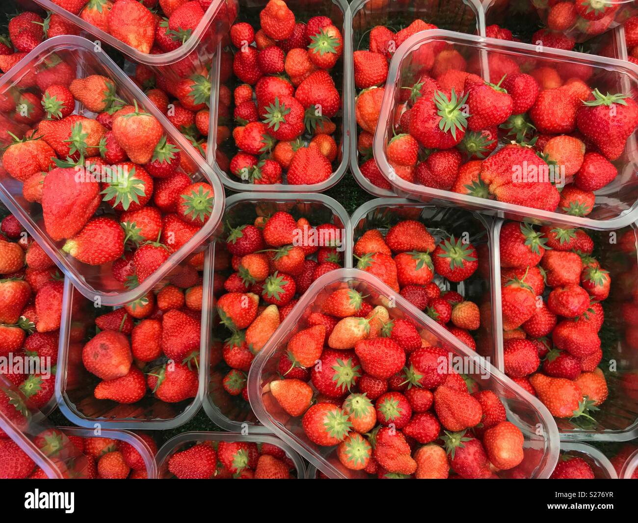Frisch gepflückt, saftig, Rot, Erdbeeren in Kunststoff Körbchen auf einem Marktstand, hohe Betrachtungswinkel - Smartphone-aufgenommenes Stockfoto