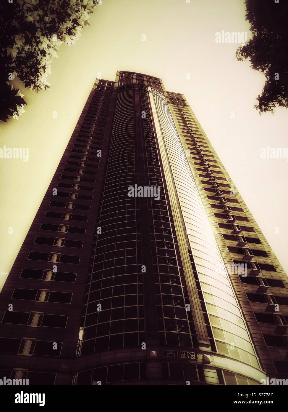 1201 Third Avenue Turm von der Erde aus sichtbar, Wolkenkratzer in Seattle, Washington State, USA. - Smartphone-aufgenommenes Stockfoto