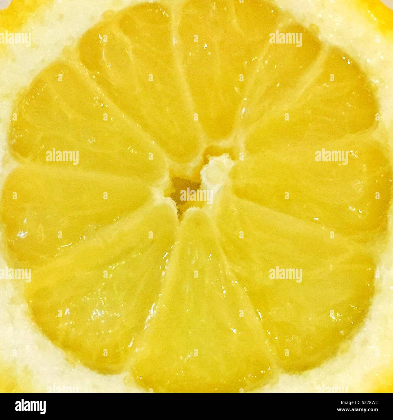 Lemon zing Stockfoto