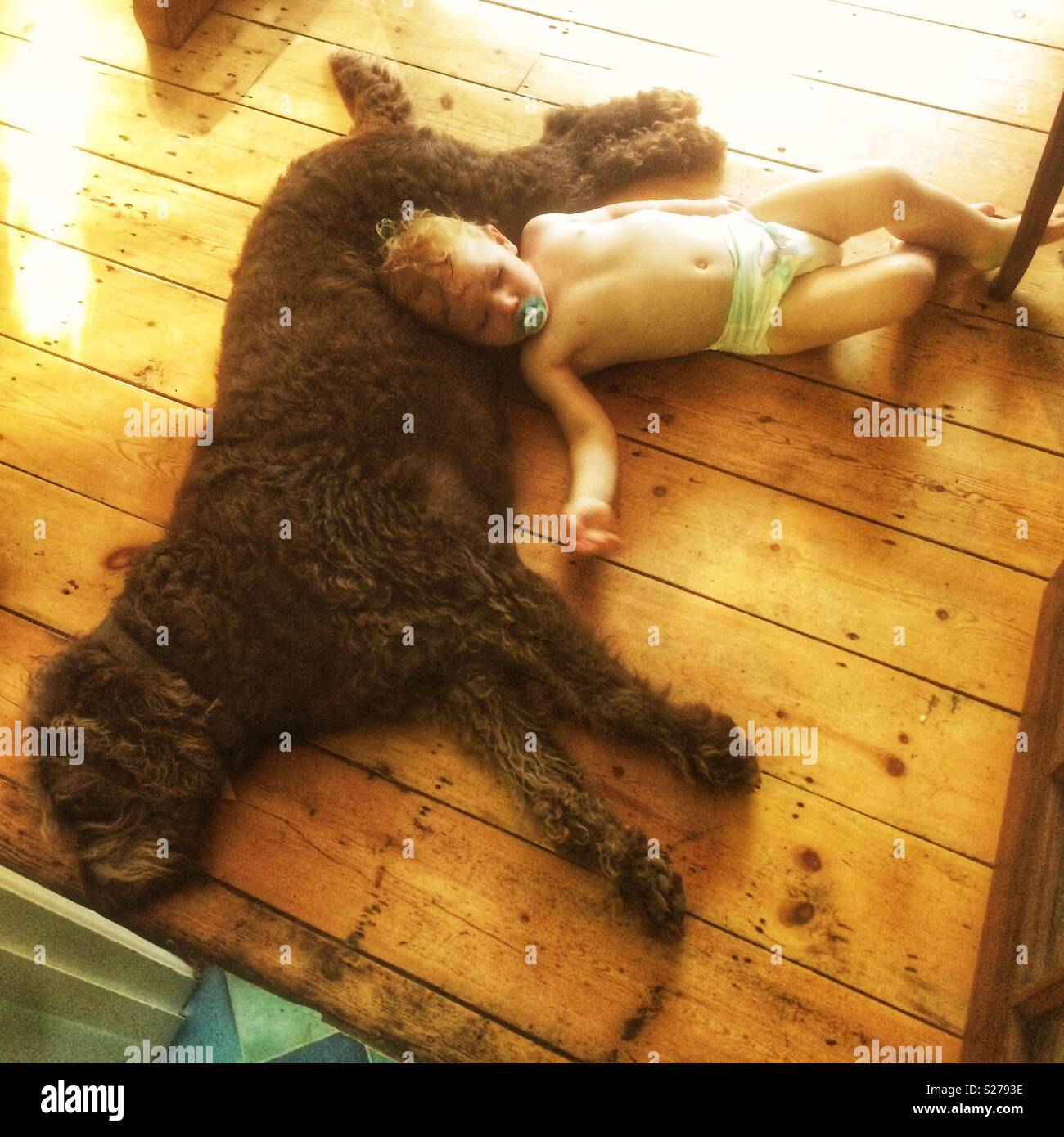 Ein Jahr alten Jungen und einem labradoodle Hund auf dem Boden zu schlafen - Smartphone-aufgenommenes Stockfoto
