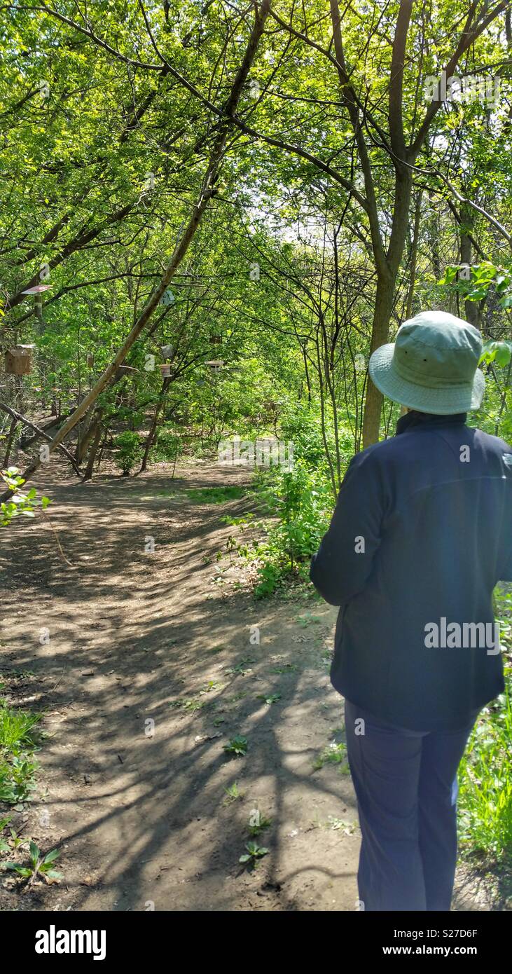 Frau stehend auf einem Pfad in den Wald. Stockfoto