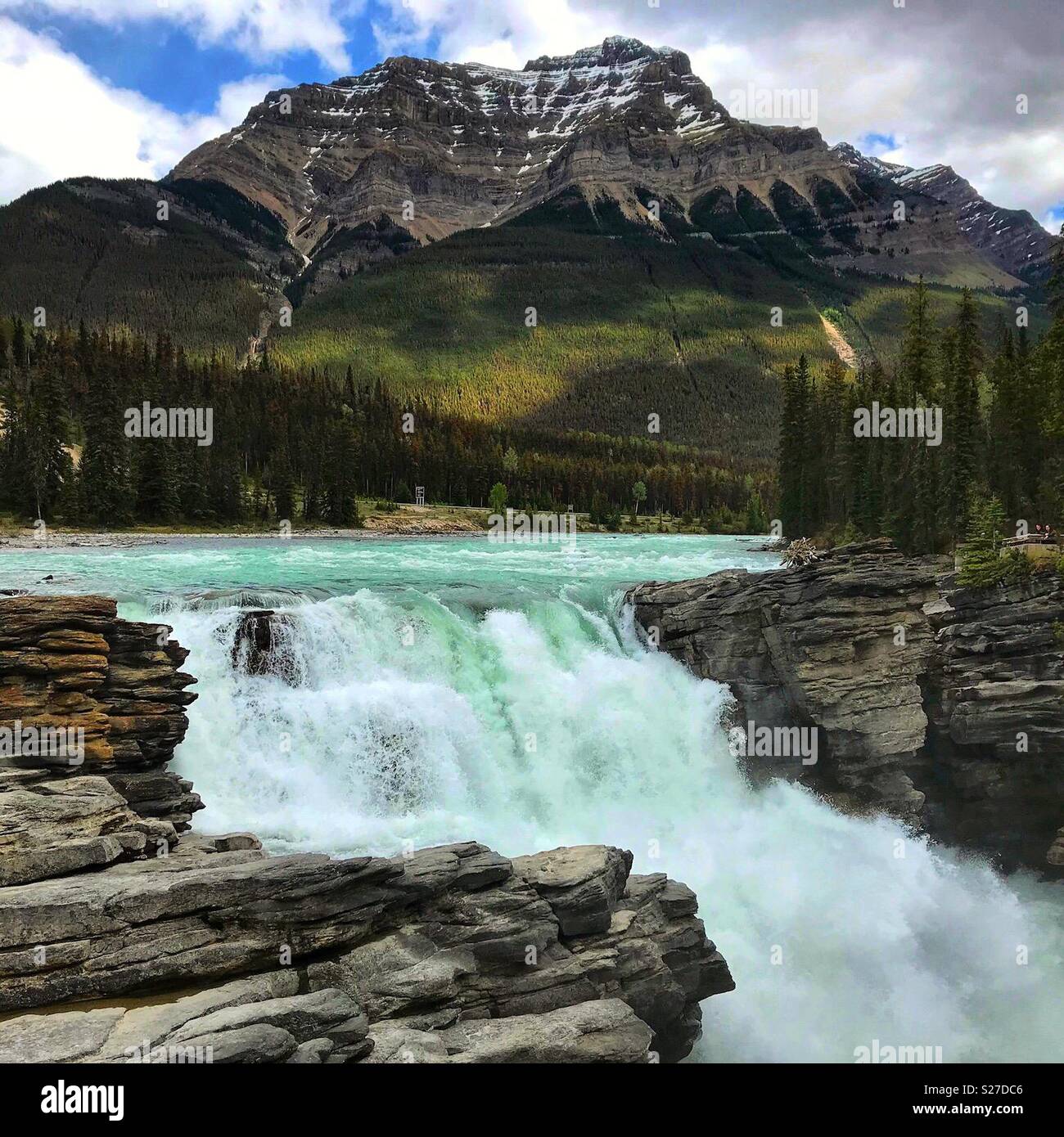 Athabasca Falls in Alberta, Kanada Stockfoto