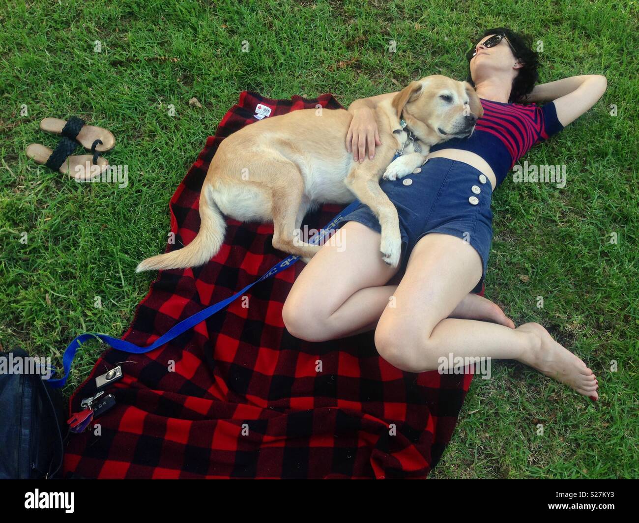 Frau liegend mit ihrem blonden Labrador Hund auf Picknickdecke und Gras im Sommer Stockfoto