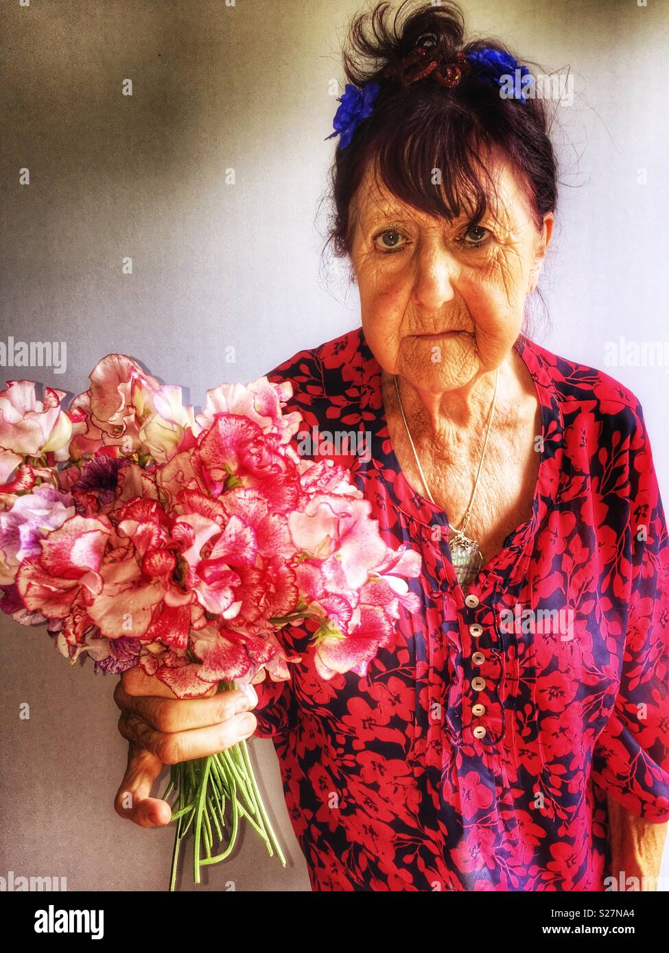 Alter Rentner mit einem Bündel Garten Sweet Pea Blumen Stockfoto
