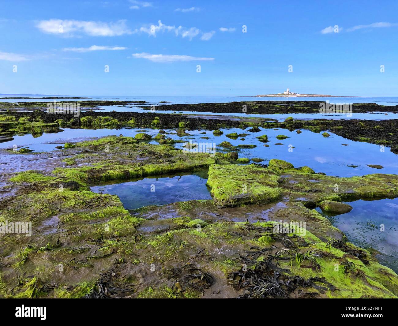 Rock Pools in der Nähe von Coquet Island Lighthouse Stockfoto