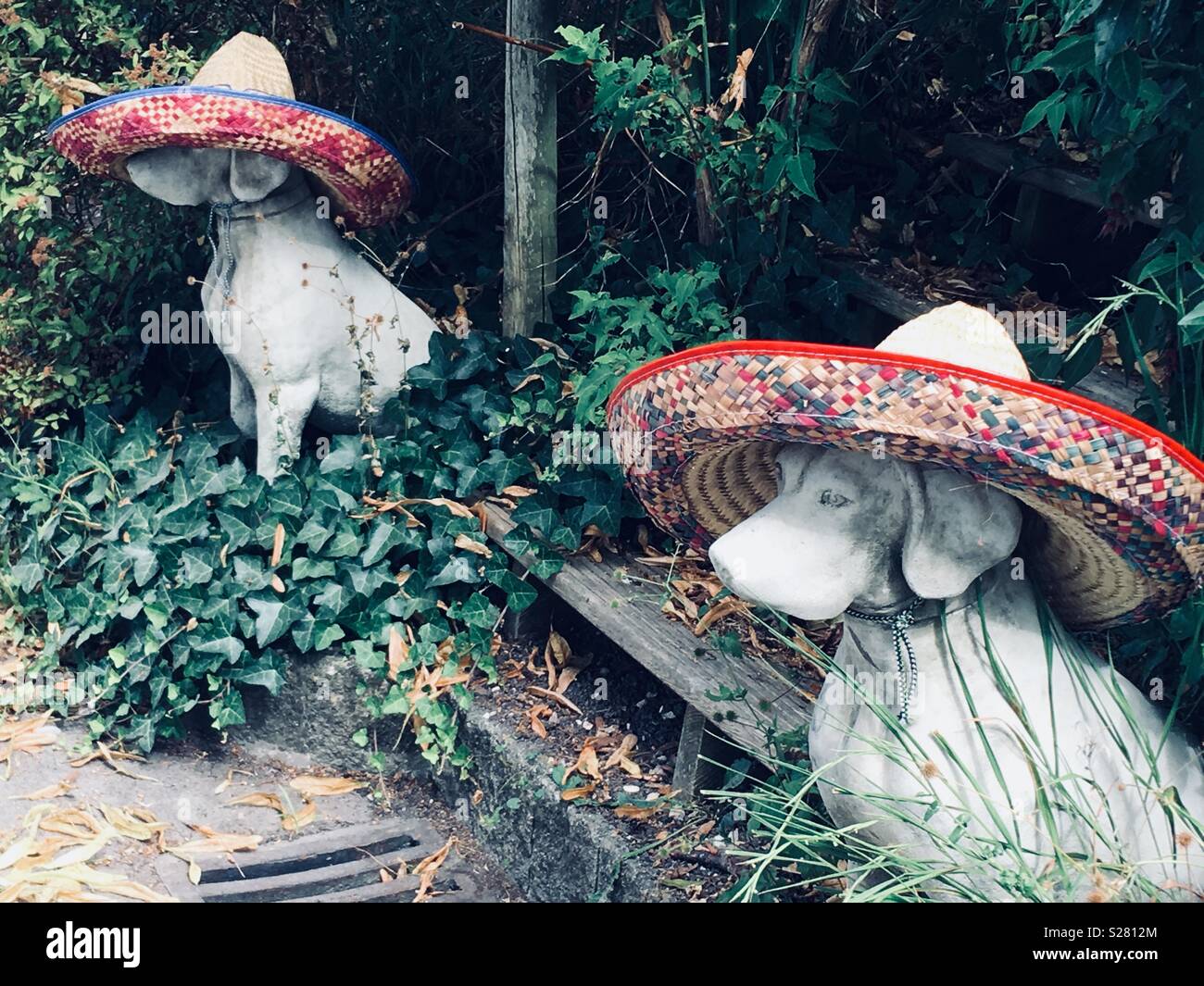 Statuen von Hunden sombreros tragen Stockfoto