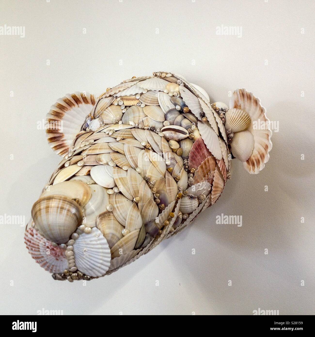 Tier Kopf Shell Skulptur Stockfoto