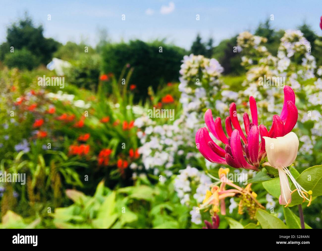 Country Cottage-Garten Stockfoto