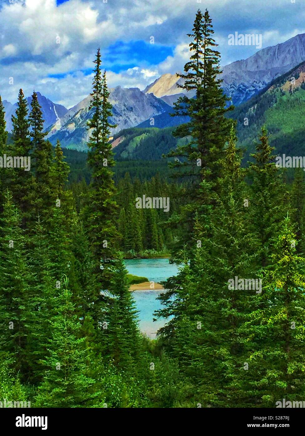 Bow River, der kanadischen Rocky Mountains, Banff National Park, Alberta, Kanada Stockfoto
