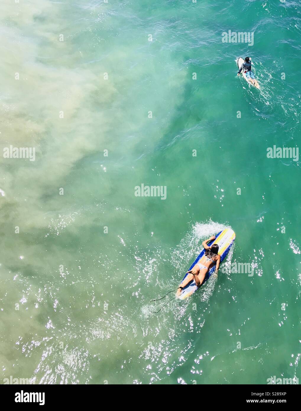 Surfer Paddeln, Surfen. Manhattan Beach, Kalifornien, USA. Stockfoto