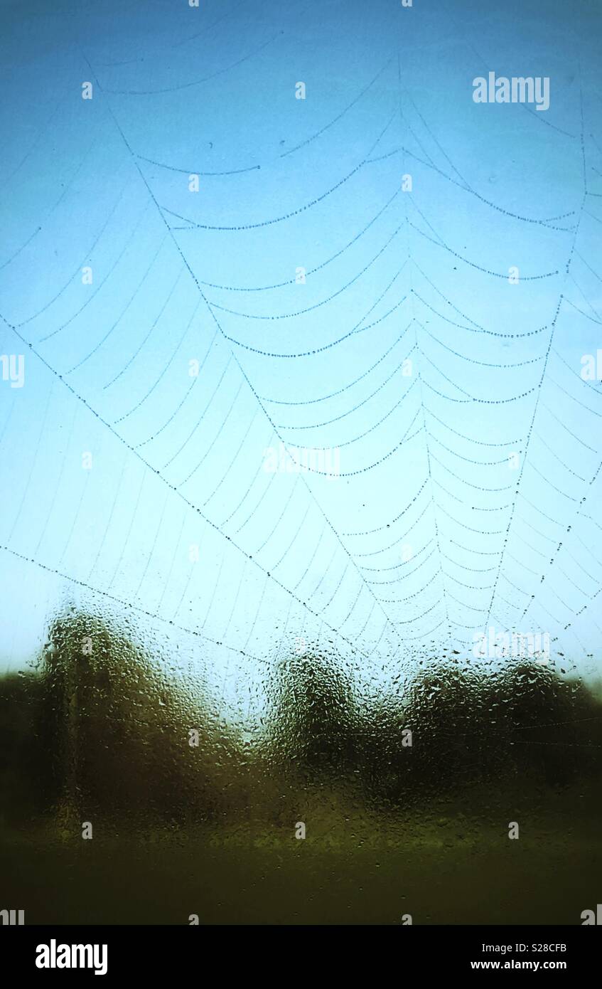 Spiderweb über eine teilweise Tau bedeckten Fenster nach einem nebligen Morgen. - Smartphone-aufgenommenes Stockfoto