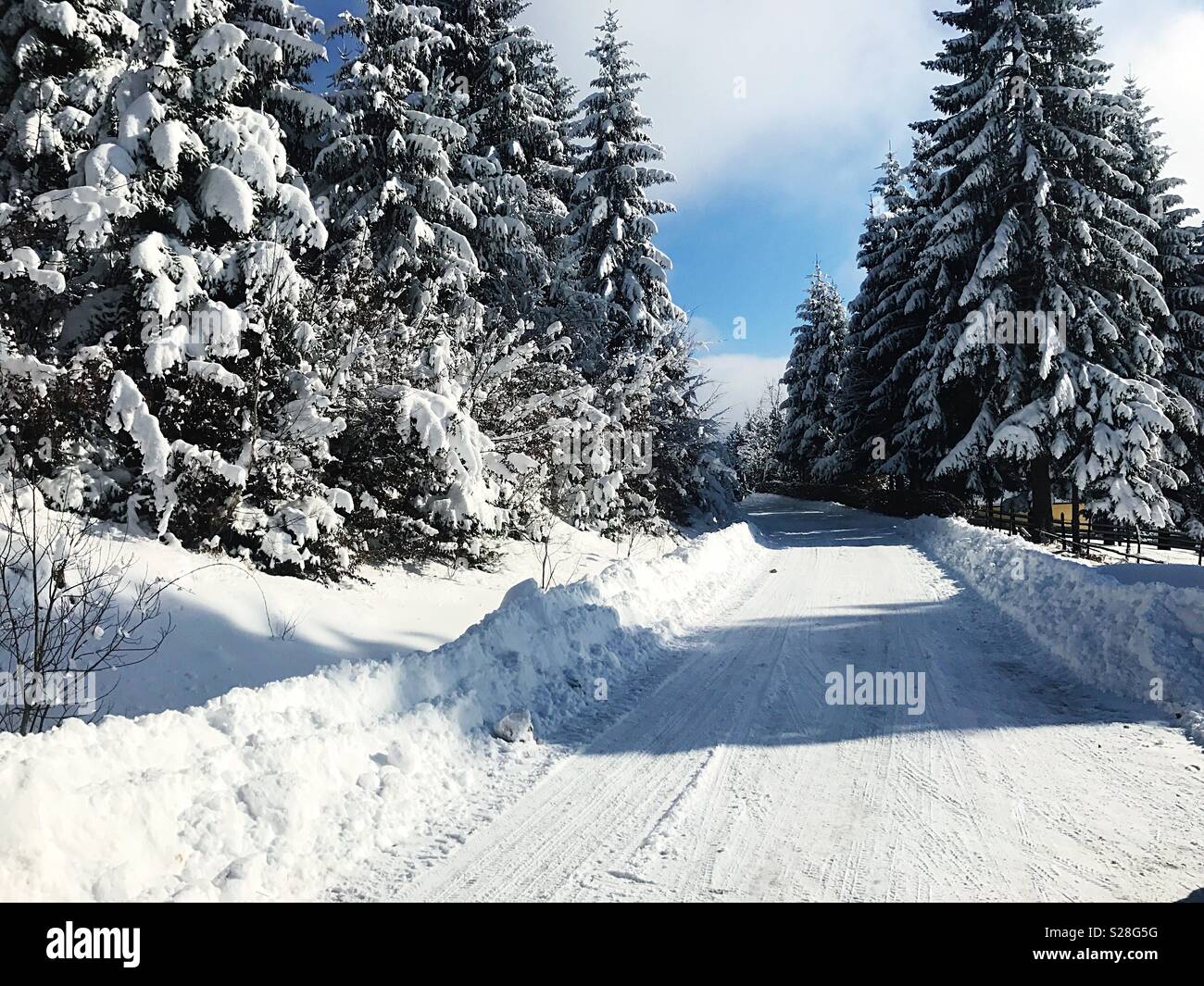 Strasse mit Schnee bedeckt, Winteridylle Stockfoto