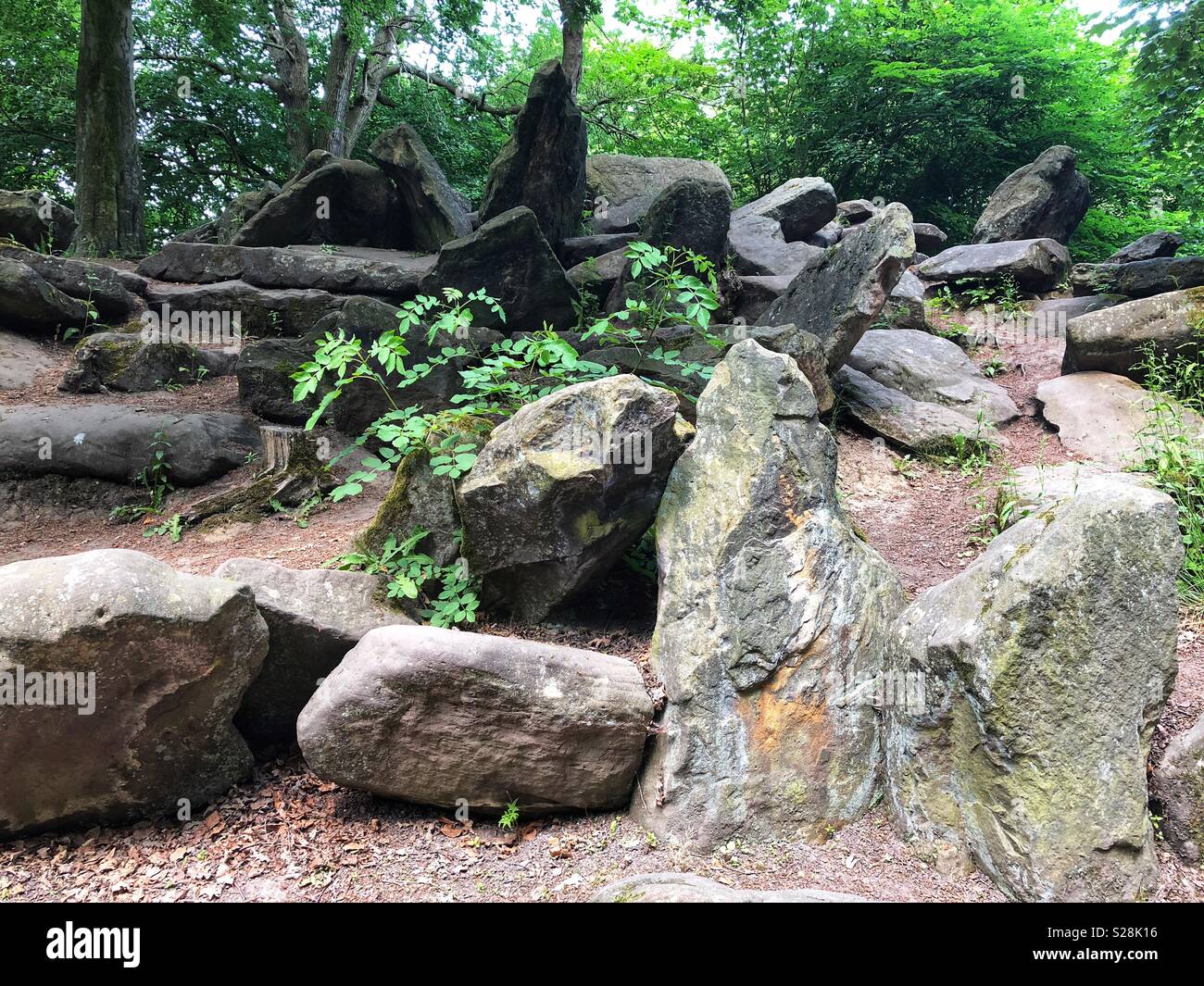 Steine in verschiedenen Formen und Größen vor verschiedenen Bäumen in Birkenhead Park, Wirral Stockfoto