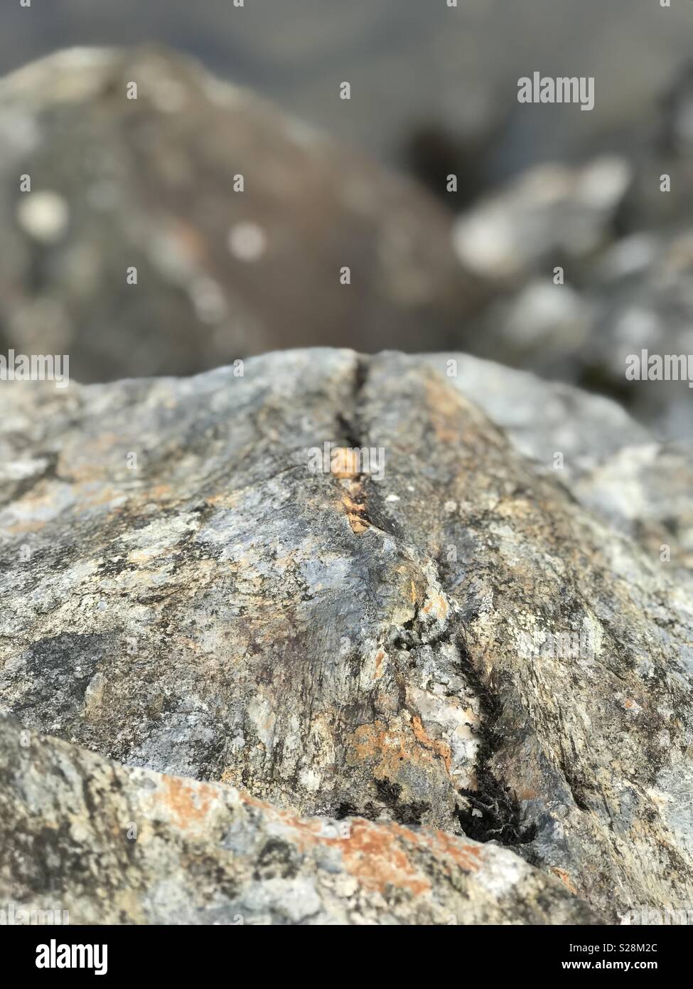 Portraitfotos von gerissenen bunten Rock - Smartphone-aufgenommenes Stockfoto