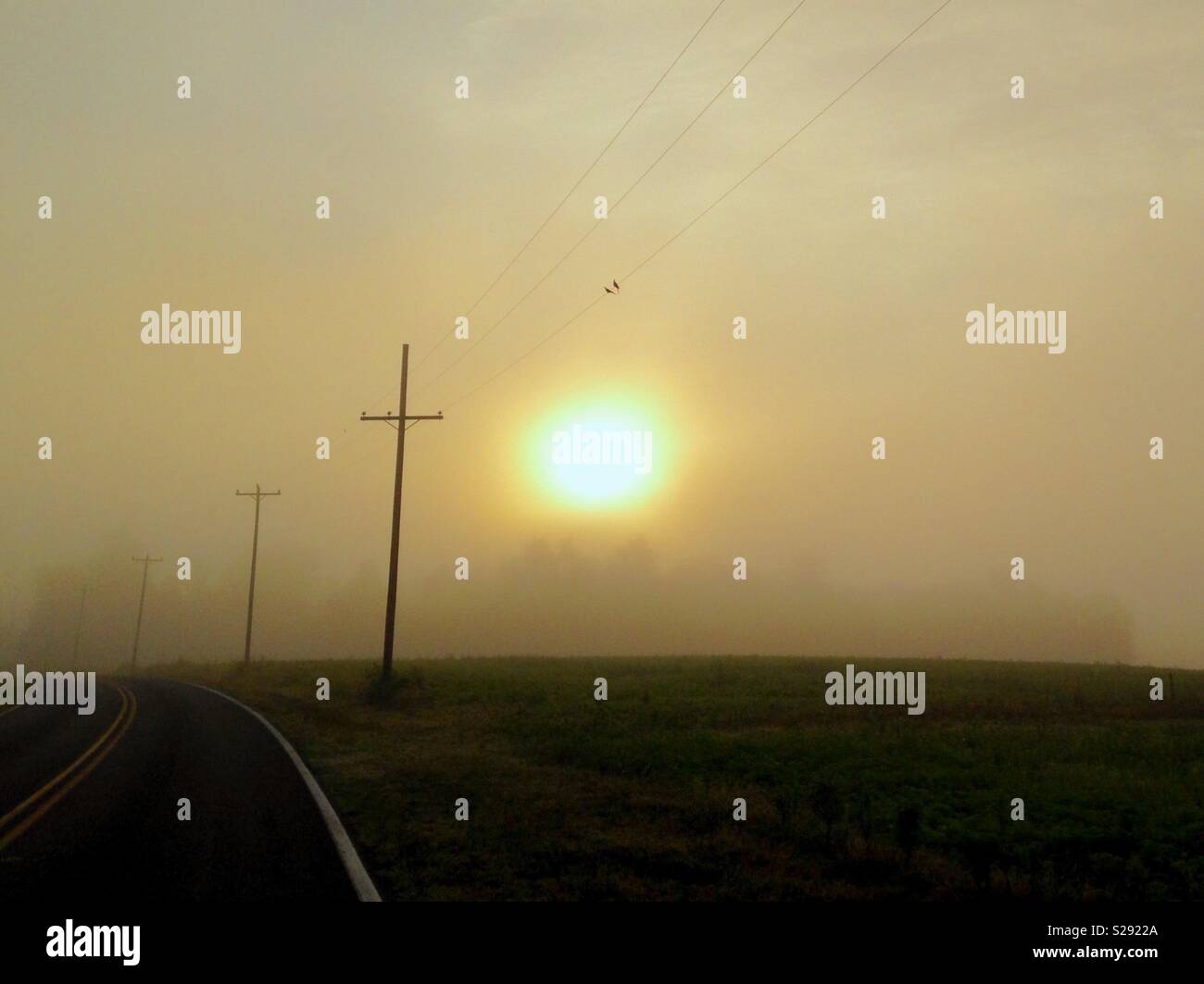 Misty Sommermorgen aufgehenden Sonne über North Carolina Feld mit Telefonleitungen und Polen auf der Straße. Stockfoto