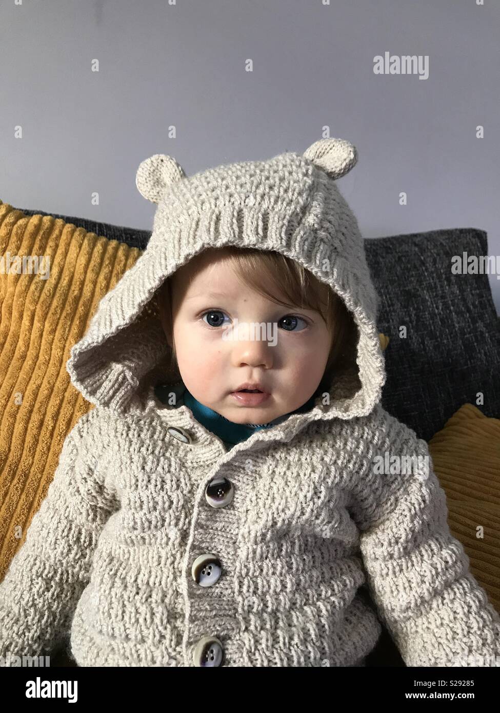 Baby Bär Stockfoto