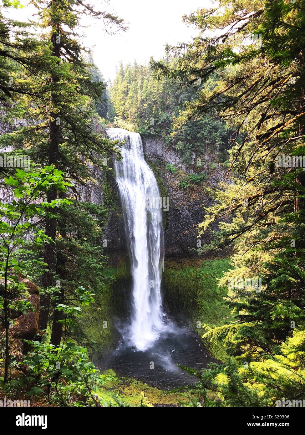 Salt Creek Falls in Willamette National Forest in Oregon, USA. Stockfoto