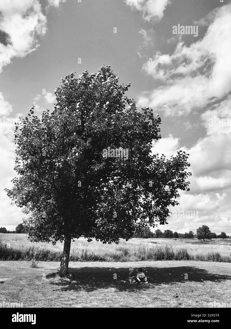 Zwei Kinder ein Buch lesen zusammen unter einem Baum. Stockfoto