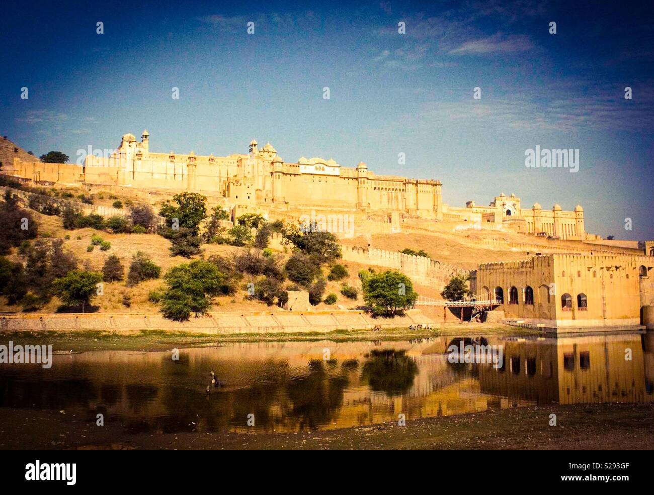 Amer Fort, Jaipur, Indien Stockfoto