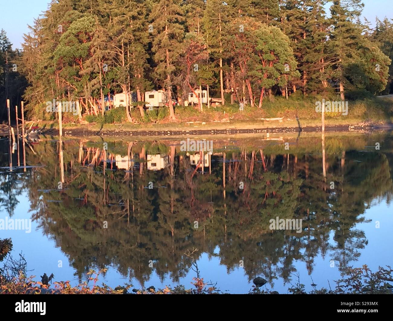 LaConner Washington Reflexion Teich des RV in den Wäldern. Stockfoto