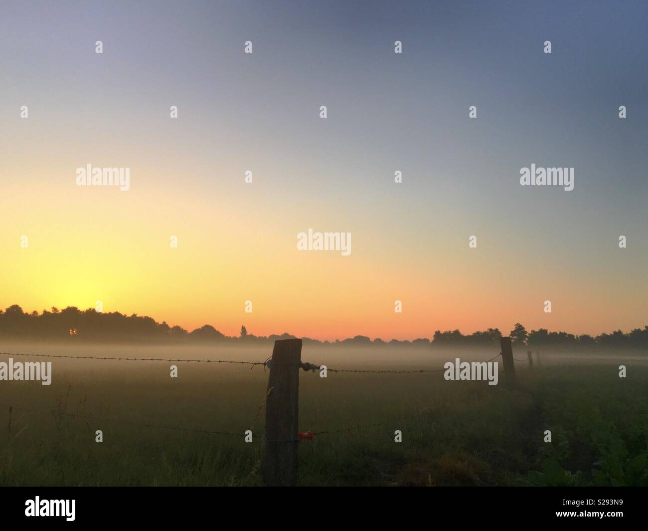Zaun um den Morgennebel - Smartphone-aufgenommenes Stockfoto